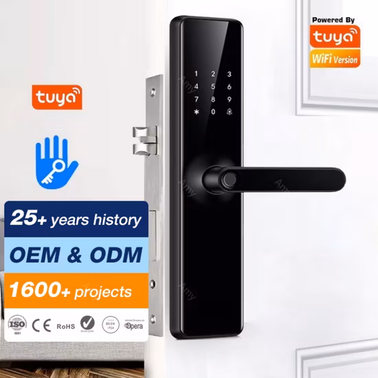 4.5&ldquo; HD Screen Visible Fingerprint Smart Door Lock with Floor Light
